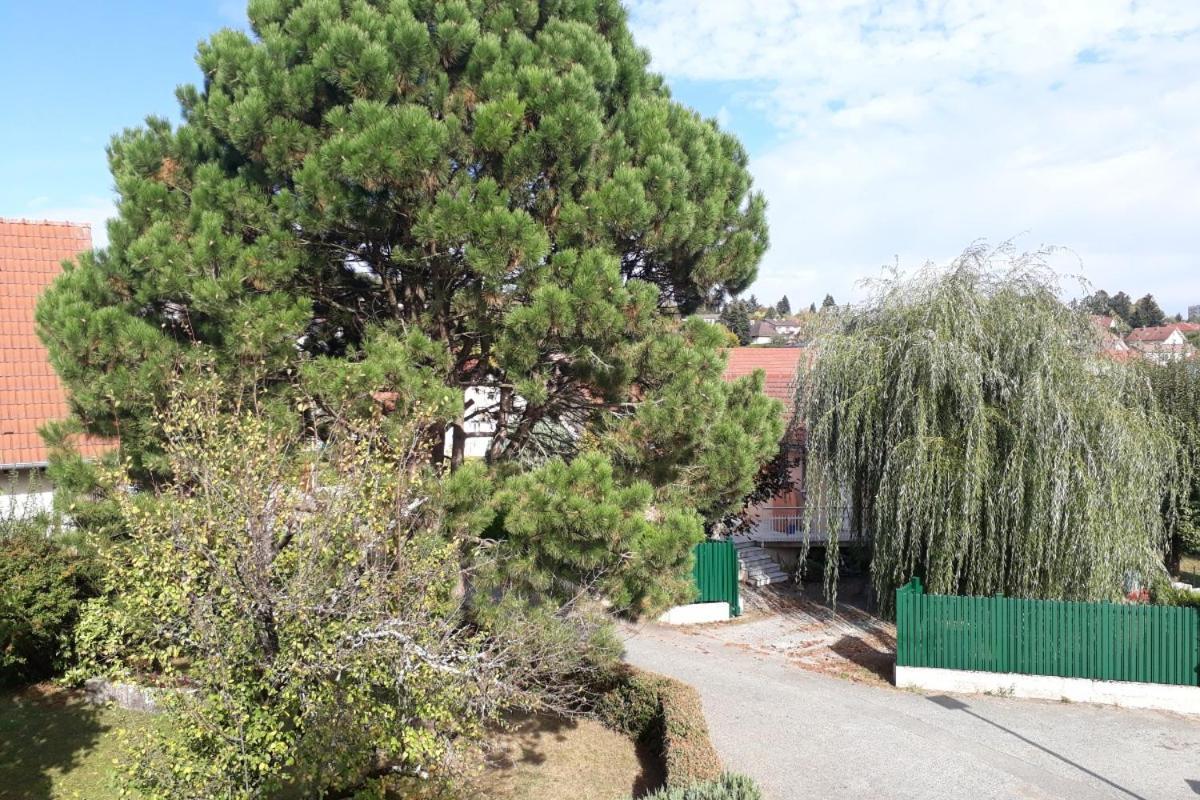 Appartement Independant A Proximite De Belfort Essert Екстериор снимка